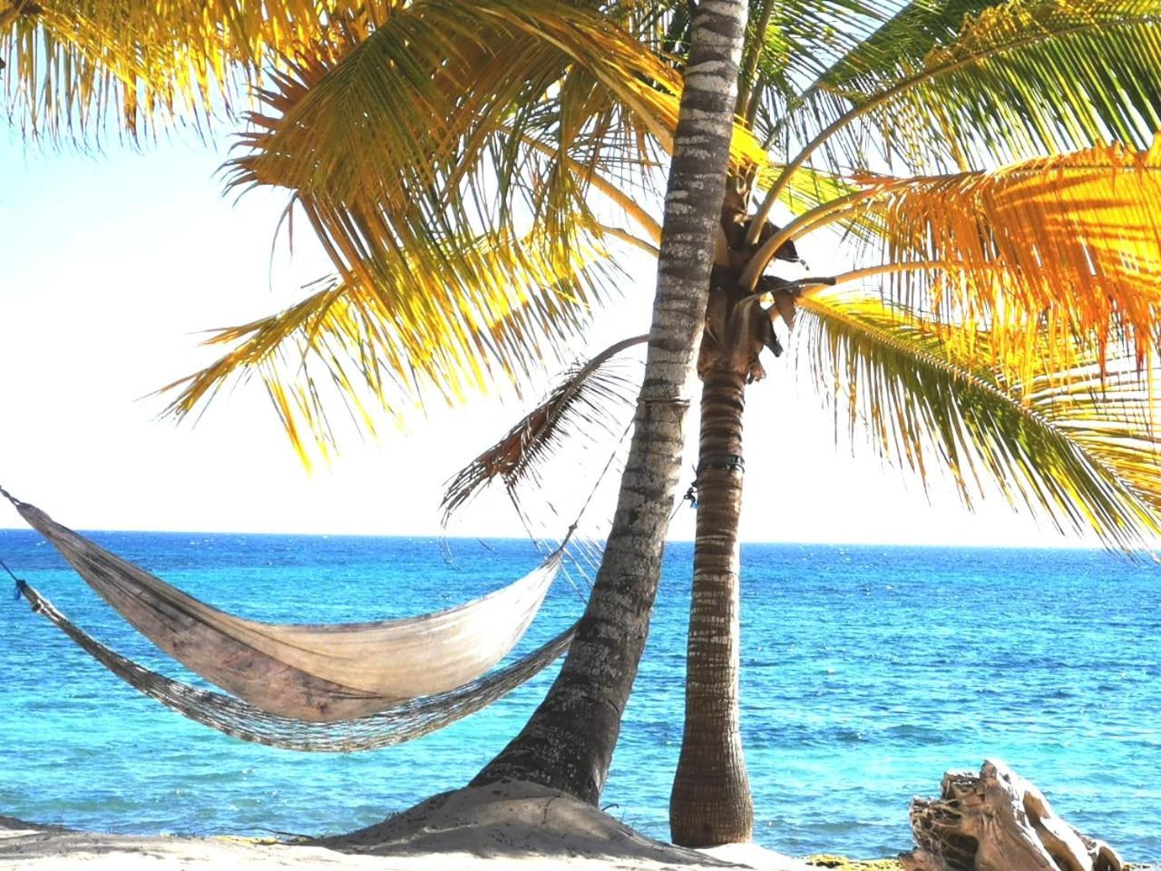 Saona Beach House - Bed And Breakfast Mano Juan Екстер'єр фото