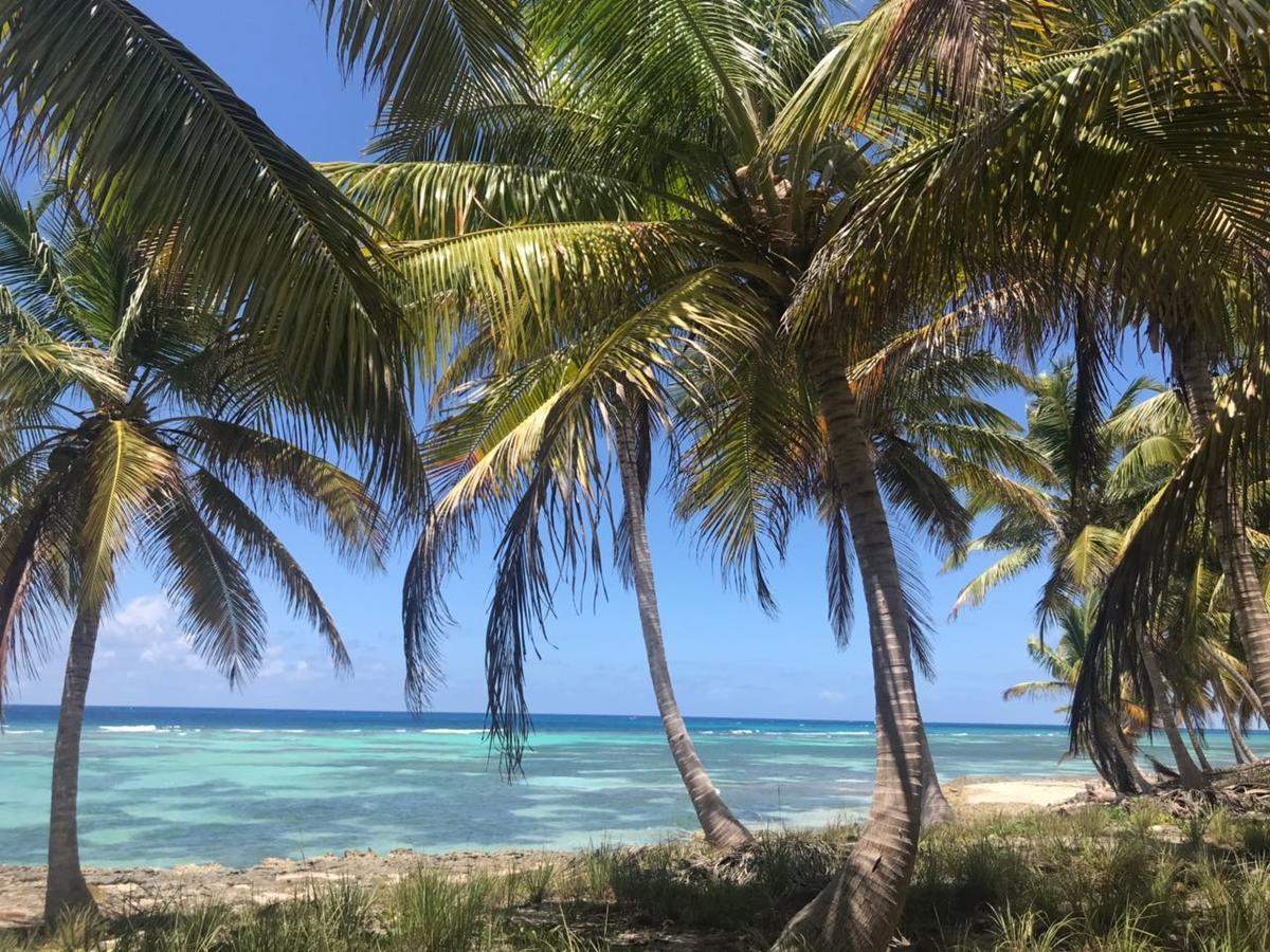 Saona Beach House - Bed And Breakfast Mano Juan Екстер'єр фото